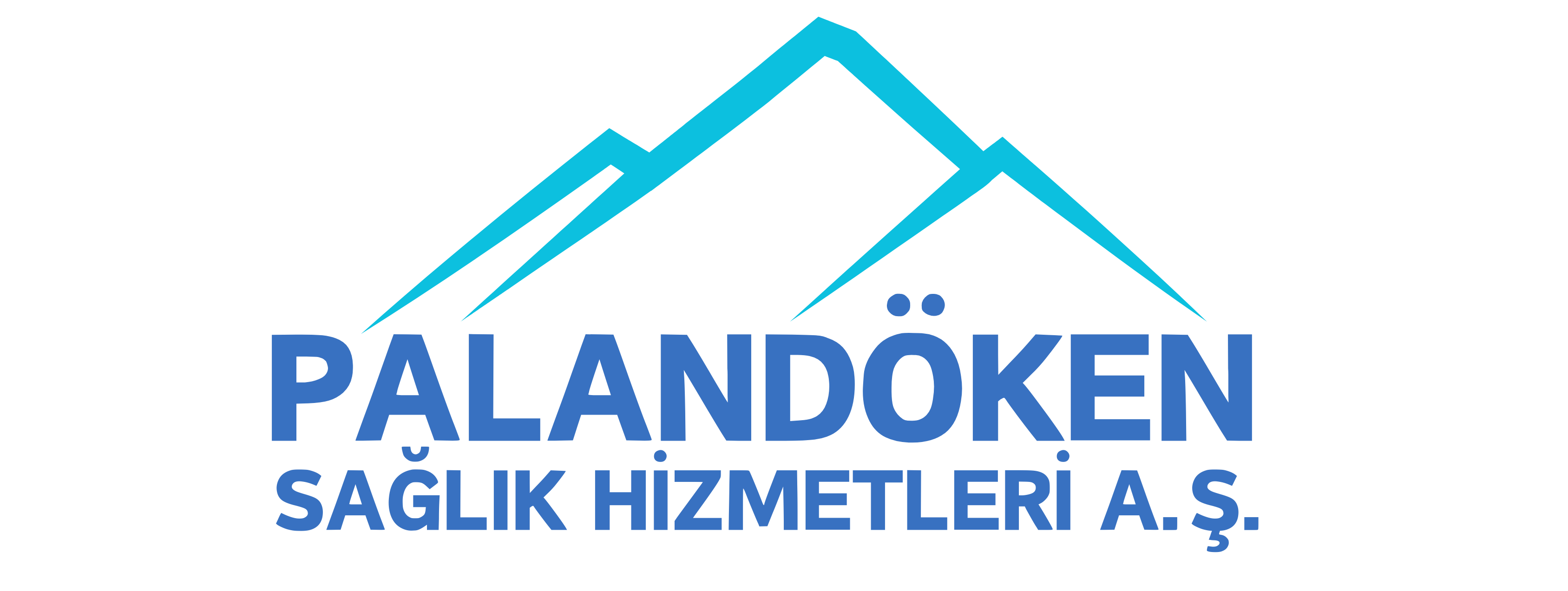 Palandöken Sağlık Hizmetleri A. Ş.